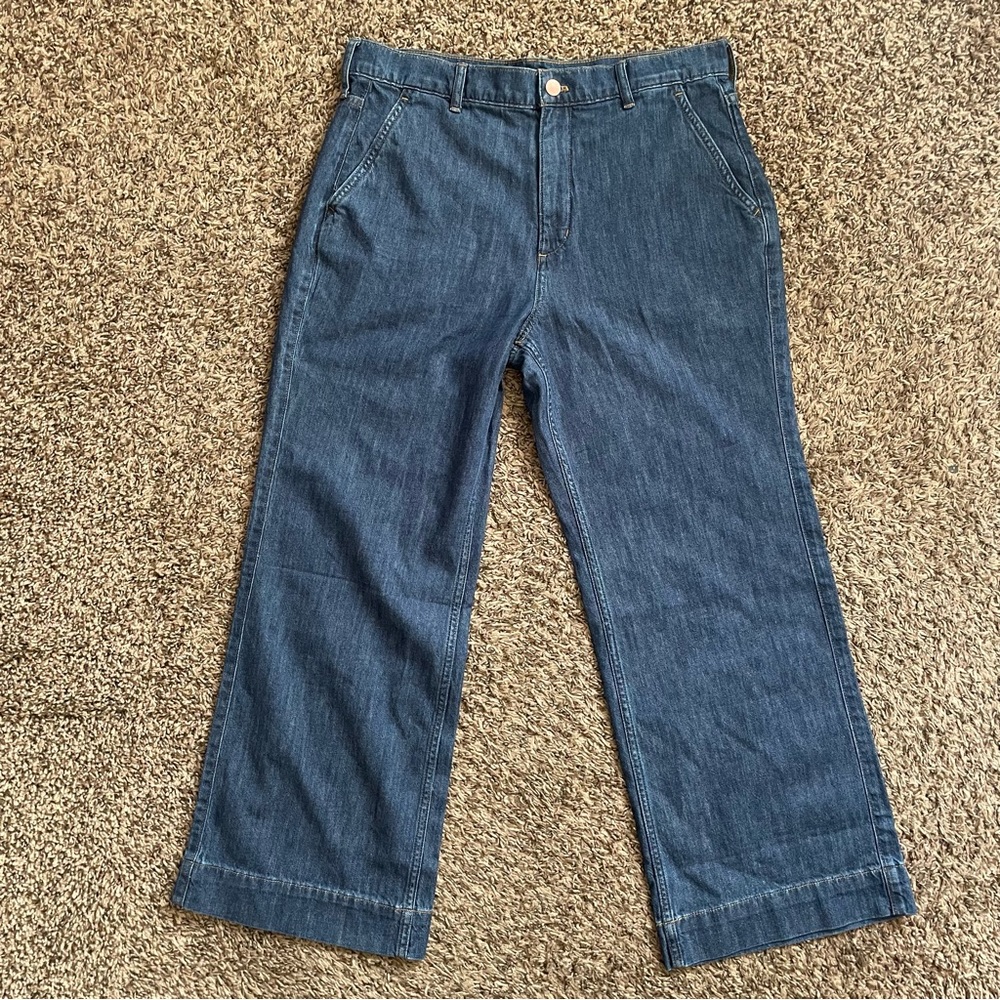 J. Crew Wide Leg Pants Size 30P